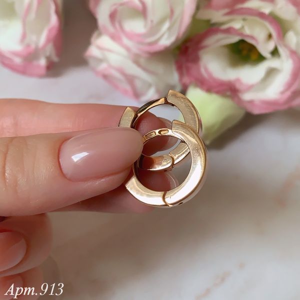 Earrings (P913)