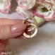 Earrings (P913)