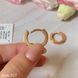 Earrings (P913)