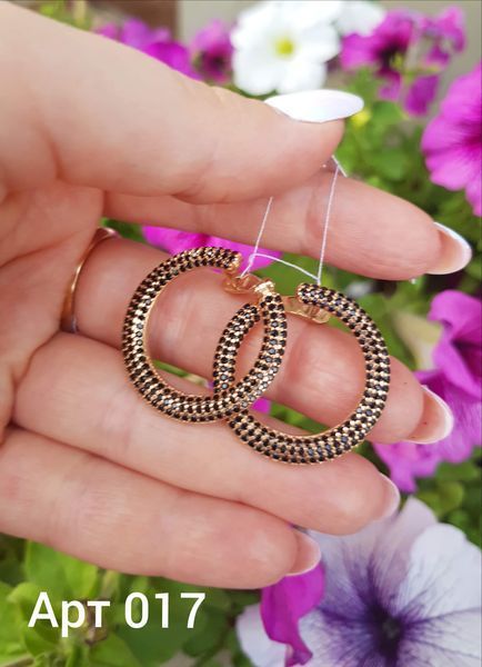 Earrings (P017)