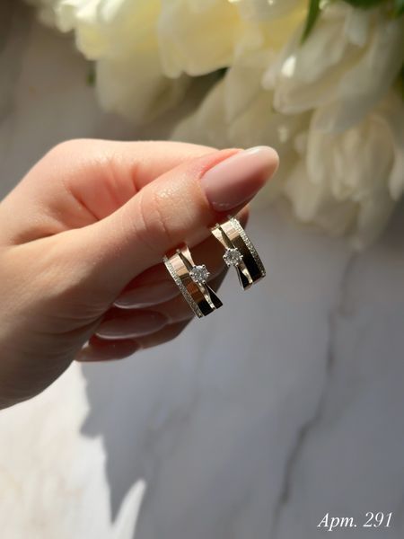 Earrings (291)
