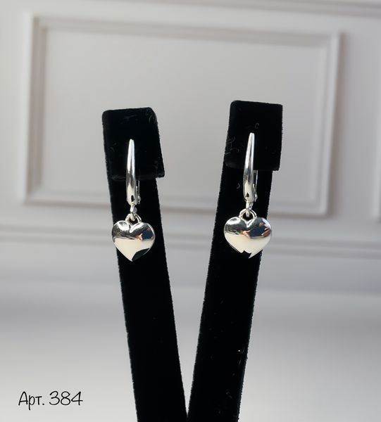 Earrings (384)
