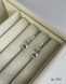 Earrings (384)
