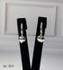 Earrings (384)