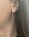 Earrings (387-1)