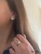 Earrings (390-1)