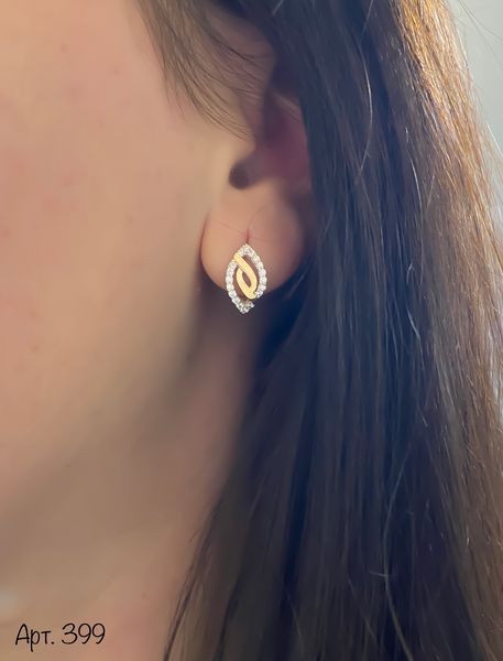 Earrings (399)