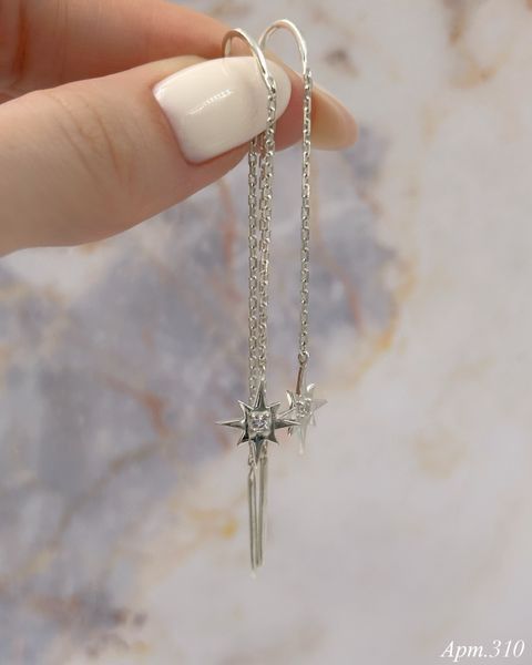 Earrings (310)