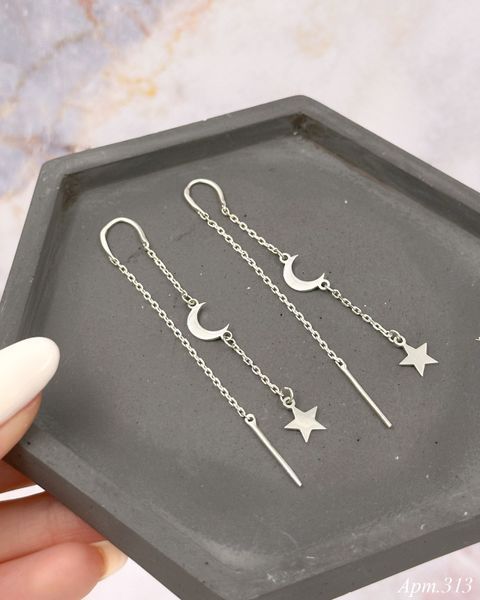Earrings (313)