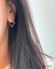 Earrings (505)