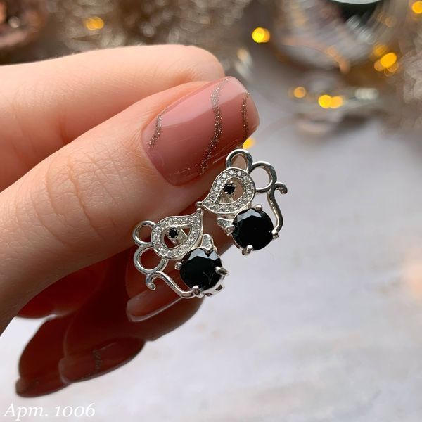 Earrings (P1006)