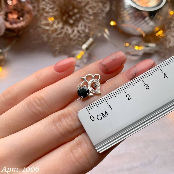 Earrings (P1006)