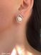 Earrings (P006)