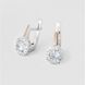 Earrings (M511)