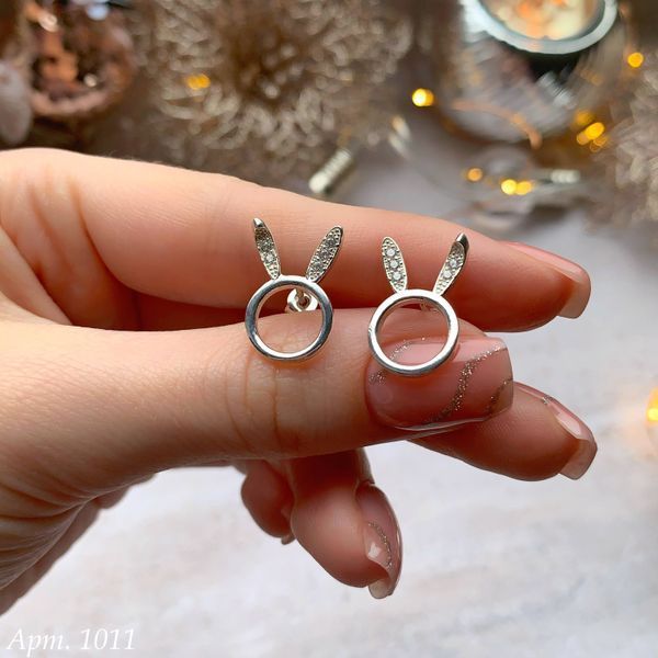 Earrings (P1011)