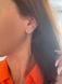 Earrings (346)