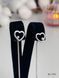 Earrings (346)