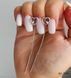 Earrings (346)